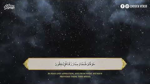 Surah As Sajdah Hazza Al Balushi سكينة وراحة لا توصف سورة السجدة القارئ هزاع البلوشي