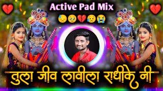 Tula Jiv Lavila Radhikeni Dj Song | तुला जीव लावीला राधीकेनी | Active Pad Mix Dj Balaji Jahire