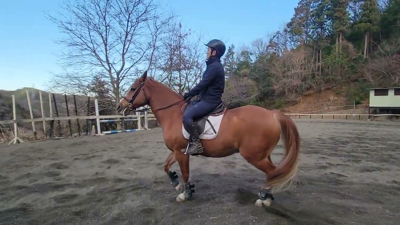 正反動のポイント　本橋インストラクター&タッチ号