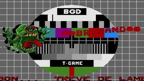 ATARI ST T Game TGame Brigand International Freeware Association PROBLEM MAYBE ITS INTRO OR DEMO STE