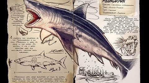 ARK - How To Tame A MEGALODON (Shark) & Make It