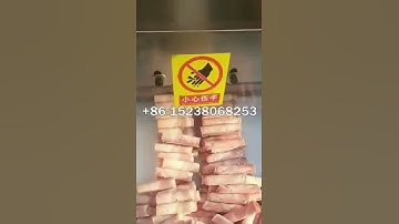 Frozen beef sheep meat slicer roll cutting machine