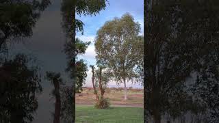 This video contains music from Shutterstock, licensed by Splice video editing app.