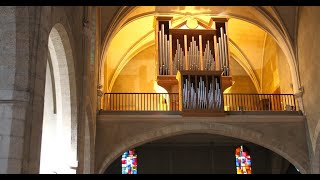 Frédéric Muñoz à l'Orgue Sals des Dominicains de Montpellier