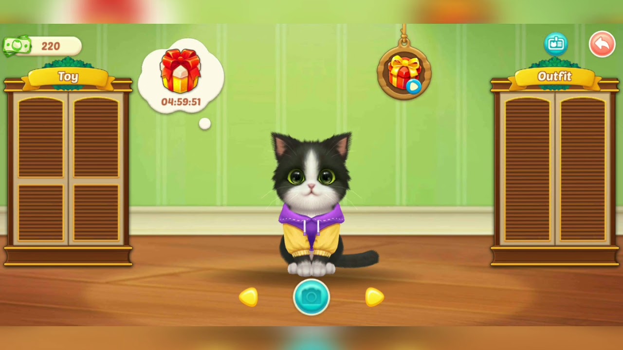 kitten match YouTube