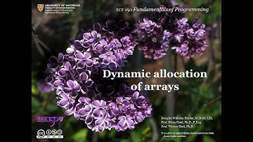 2 03 Dynamic allocation of arrays