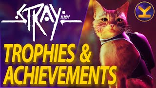 Stray - All Trophies / Achievements &amp; Secrets