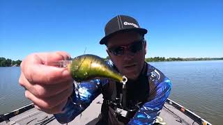 Come learn to catch bass and explore new waters/techniques on my You tube channel/ Never Hold Back!
