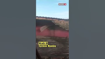 Cyclone Biparjoy: Houses Collapses, Trees Uprooted In Gujrat #shorts #viral