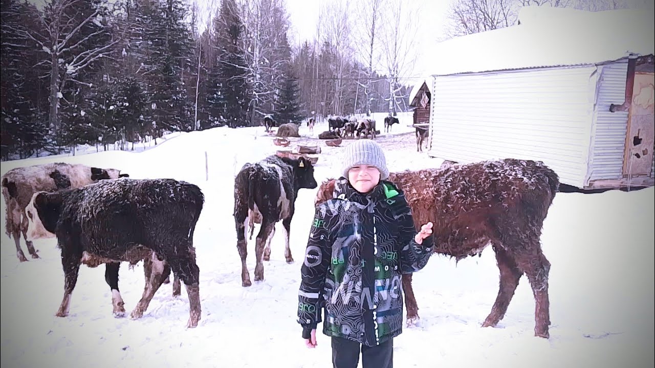 Мы работаем у папы на ферме (Саша)