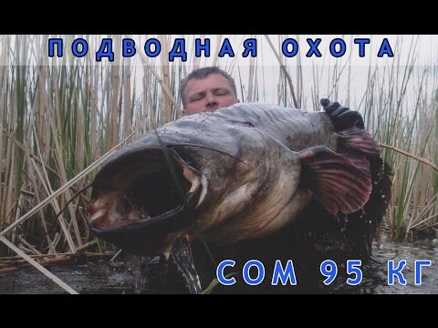Смотреть фильм онлайн в хорошем качестве следователь протасов