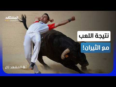 استفز ثور هائج فباغته آخر بضربة قاضية غير متوقعة - المشهد تاغ