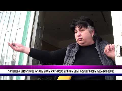 ოპოზიცია მოუწოდებს გორის მერს დროულად მოხდეს მინი სტადიონების რეაბილიტაცია