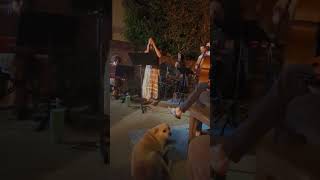 Emily (Johnny Mandel) - Eric Ching Quartet ft. Morgan Delaney