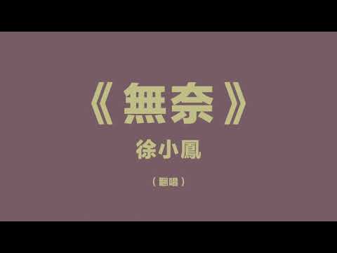 無奈 徐小鳳 (翻唱版）