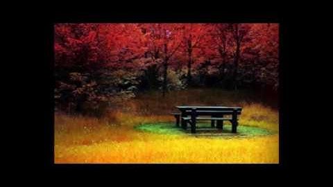 اروع صوت للقارئ عبد الرحمن العوسي- سورة النبأ