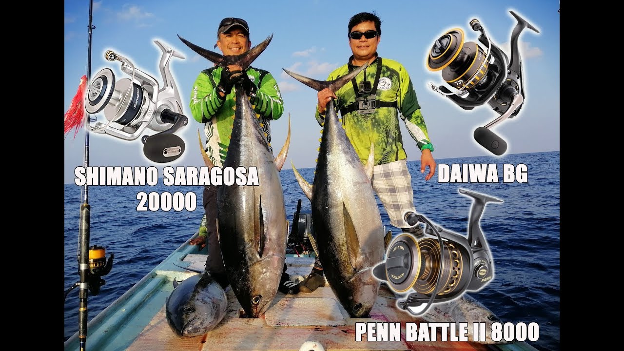 Daiwa Bg 6500 Shimano Saragosa 000 And Penn Battle Ii 8000 Versus Huge Yft Youtube