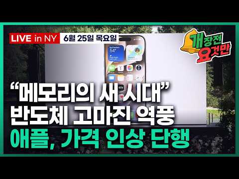[빈난새의 개장전요것만-6월25일] 경제지표만 보면 골디락스 | Mag7 다시 울상 | 비트코인 하락 언제까지 | 마이크론 샌디스크 퀄컴 알리바바 코어위브 인텔 브룩데일 클라르나 