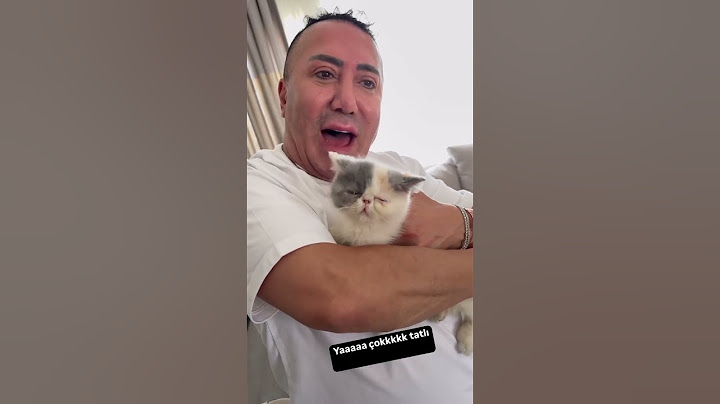 Gelinim ve oğlum kedi sahiplenmiş çok tatlı değil mi kızlar  #kesfet #kesfet #keşfetteyiz