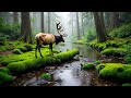 Brain Cell Activation Music That Makes Your Brain Feel Good Just By Listening To It Once 5 Brain Cell Activation Music That Makes Your Brain Feel Good Just By Listening To It Once 5