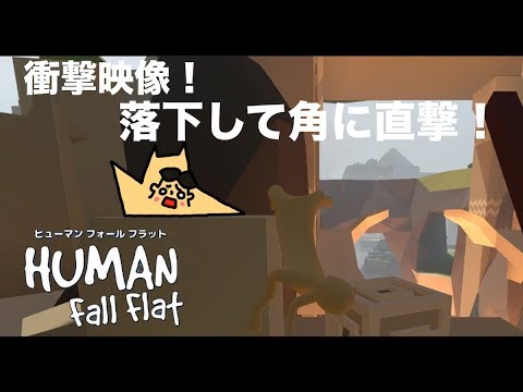 #43 ドイヒーくんのゲーム実況「ヒューマンフォールフラットその８」