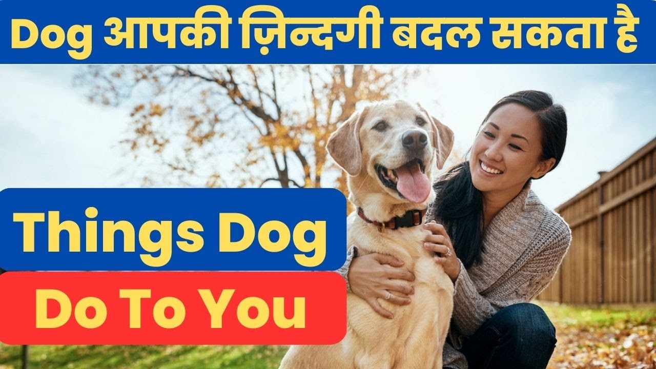 15 Things Dogs Do To You Dog Facts In Hindi Best Dog Facts In Hindi