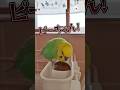 一緒に歌ってみよう|PECO