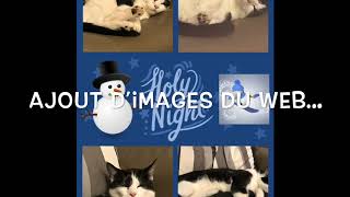 Pic Collage Edu