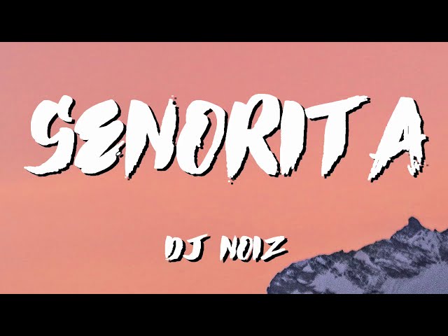 DJ Noiz Senorita Lyrics class=