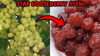 Star Gooseberry Stew: Recipe Video | Micah's Logics