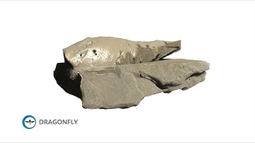 3D Imaging of Shark Egg Cases from Sweden Using Dragonfly