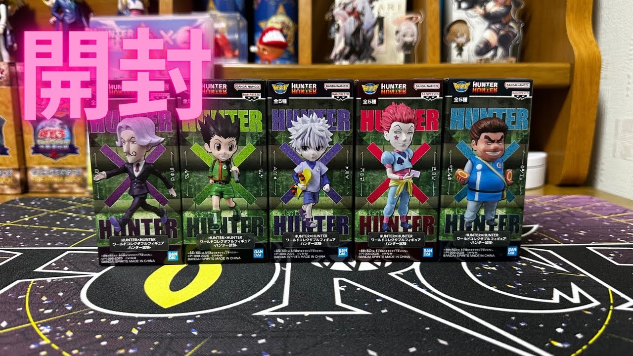 HUNTER×HUNTER フィギュVIBRATIONSTARS&ワールドコレ HUNTERXHUNTER World Collectible Figures Hunter Exam Hunter