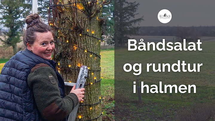 Pløkker og båndsalat - endnu en uge på gården er gået