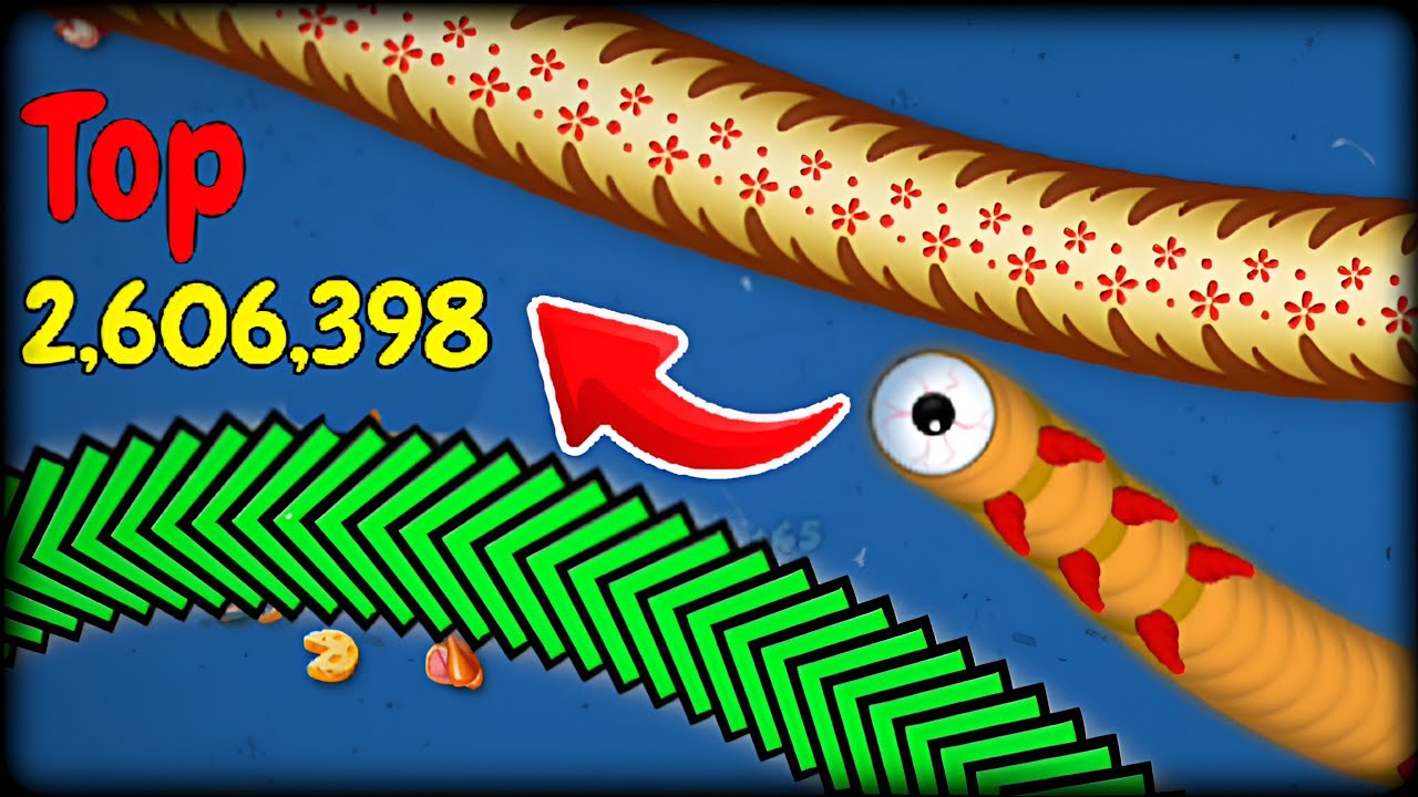 TOP1 Biggest Snake😱 