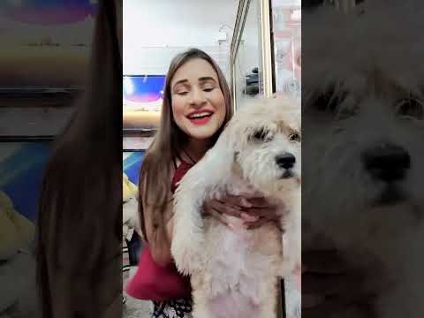 muskan agarwal ullu kooku prime play rabbit web series actors favorite actors