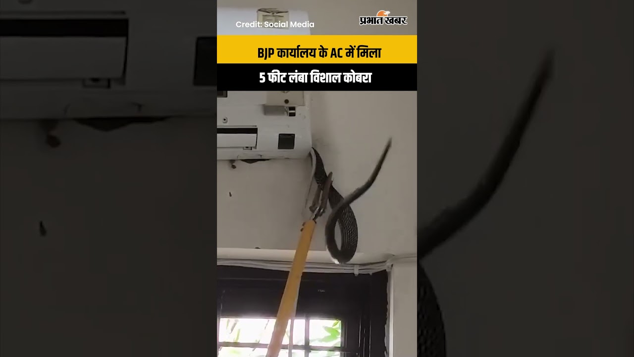Sitapur BJP Office में AC से निकला 5 फीट का Cobra, Video Viral