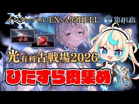 【肉集め】予選総合１位＆３位ありがと～│光有利古戦場2026インターバル①【グランブルーファンタジー】
