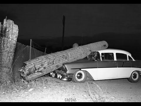 Jacques B TONIGHT OFFICIAL MUSIC