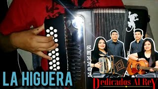 La Higuera | Tutorial Acordeón de Sol | Dedicados Al Rey