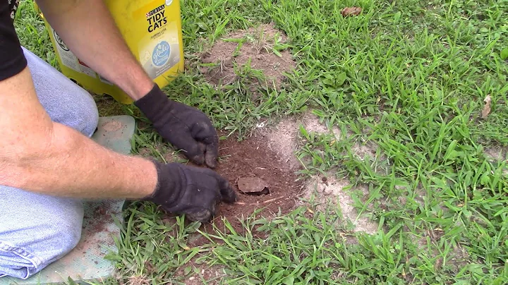 Bedding a Predator trap solid using peat moss.