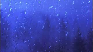 METAHESH - Shattered Dreams