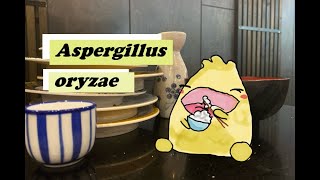 How koji leads to saké, soy sauce, and more!