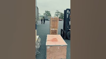 Một ngày lạnh, ra cảng lấy hàng sẽ như thế nào?🤣