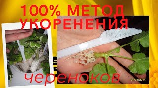 :     .