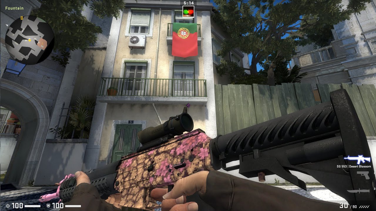 CSGO SG 553 Desert Blossom Factory New - YouTube