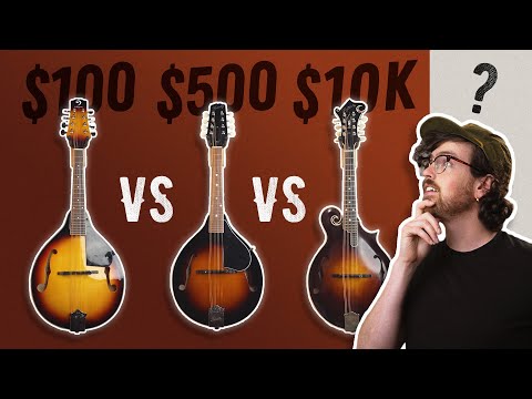 $100 vs $500 vs $10,000 Mandolin