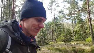 Working Remote In The Wild