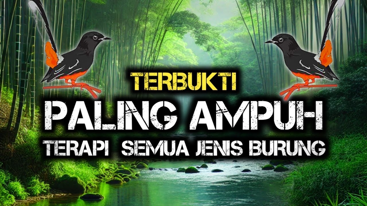 Terapi air untuk semua jenis burung, gemericik air terapi burung, Terapi Burung TERBUKTI AMPUH
