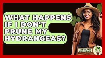 What Happens If I Don