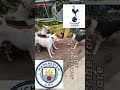 TOTTENHAM VS MAN CITY, & TOTTENHAM VS ARSENAL FC. #arsenalfc #arsenal #football #derby #totenham